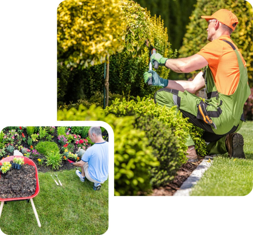 Planting, Walling & Groundwork