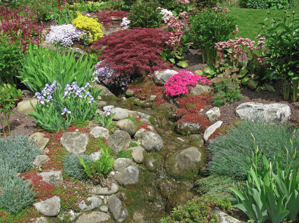 rockery and plants